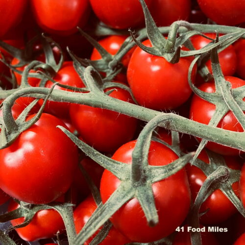 Tomato plum sunstream FM