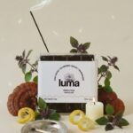 Luma Reishi Tulsi hocolate