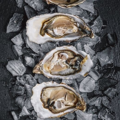 Oyster buoys 4 oysters on slate