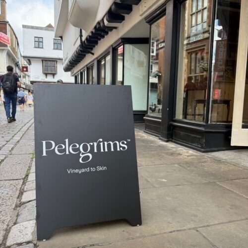 P Elegrims blackboard logo