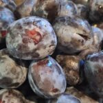 My Farmers Market plums