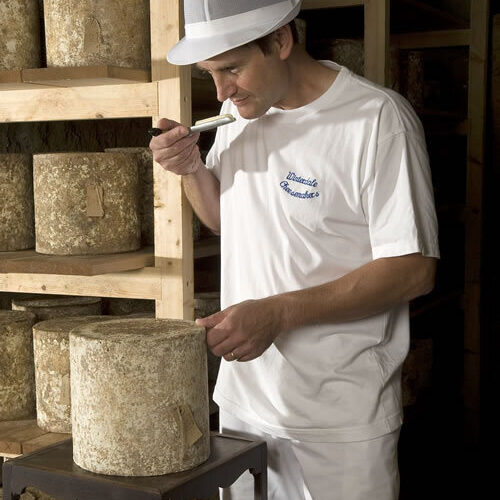 Robin testing winterdale